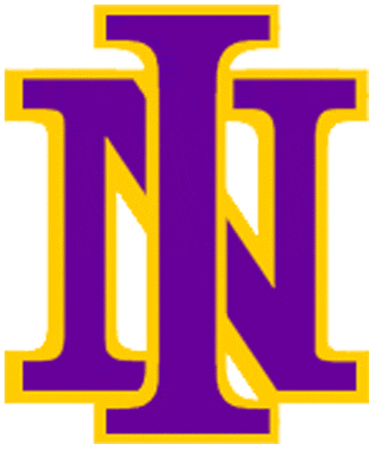 Northern Iowa Panthers 1981-2000 Primary Logo iron on transfers for clothing